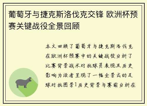 葡萄牙与捷克斯洛伐克交锋 欧洲杯预赛关键战役全景回顾