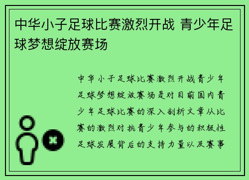 中华小子足球比赛激烈开战 青少年足球梦想绽放赛场