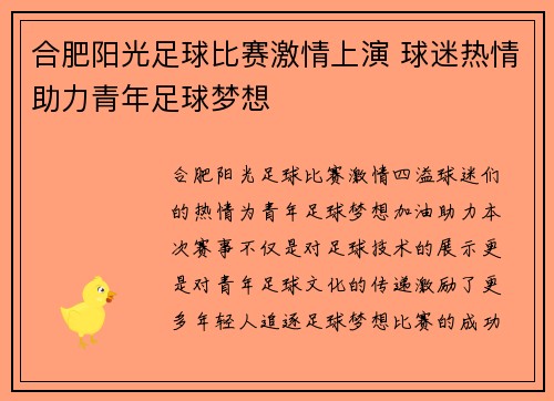 合肥阳光足球比赛激情上演 球迷热情助力青年足球梦想