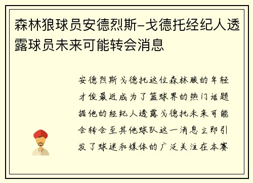 森林狼球员安德烈斯-戈德托经纪人透露球员未来可能转会消息
