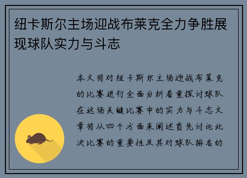 纽卡斯尔主场迎战布莱克全力争胜展现球队实力与斗志