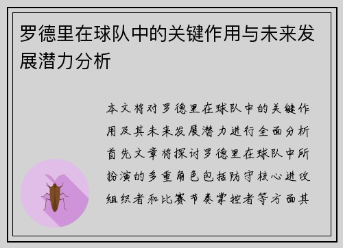 罗德里在球队中的关键作用与未来发展潜力分析